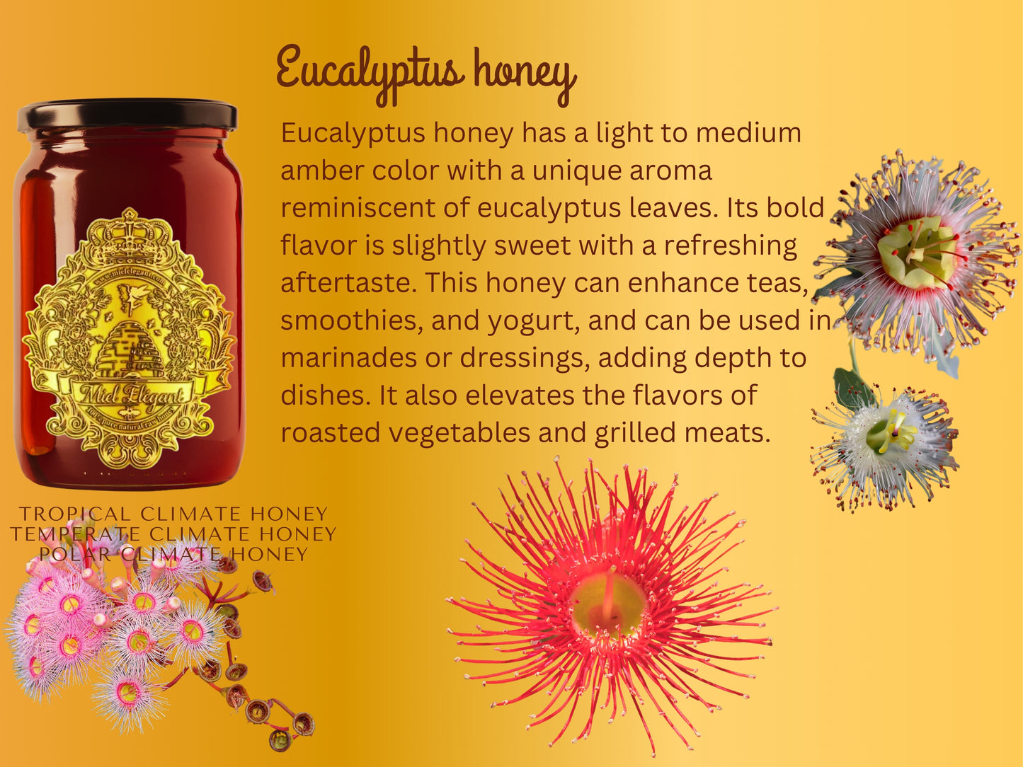 Eucalyptus Honey