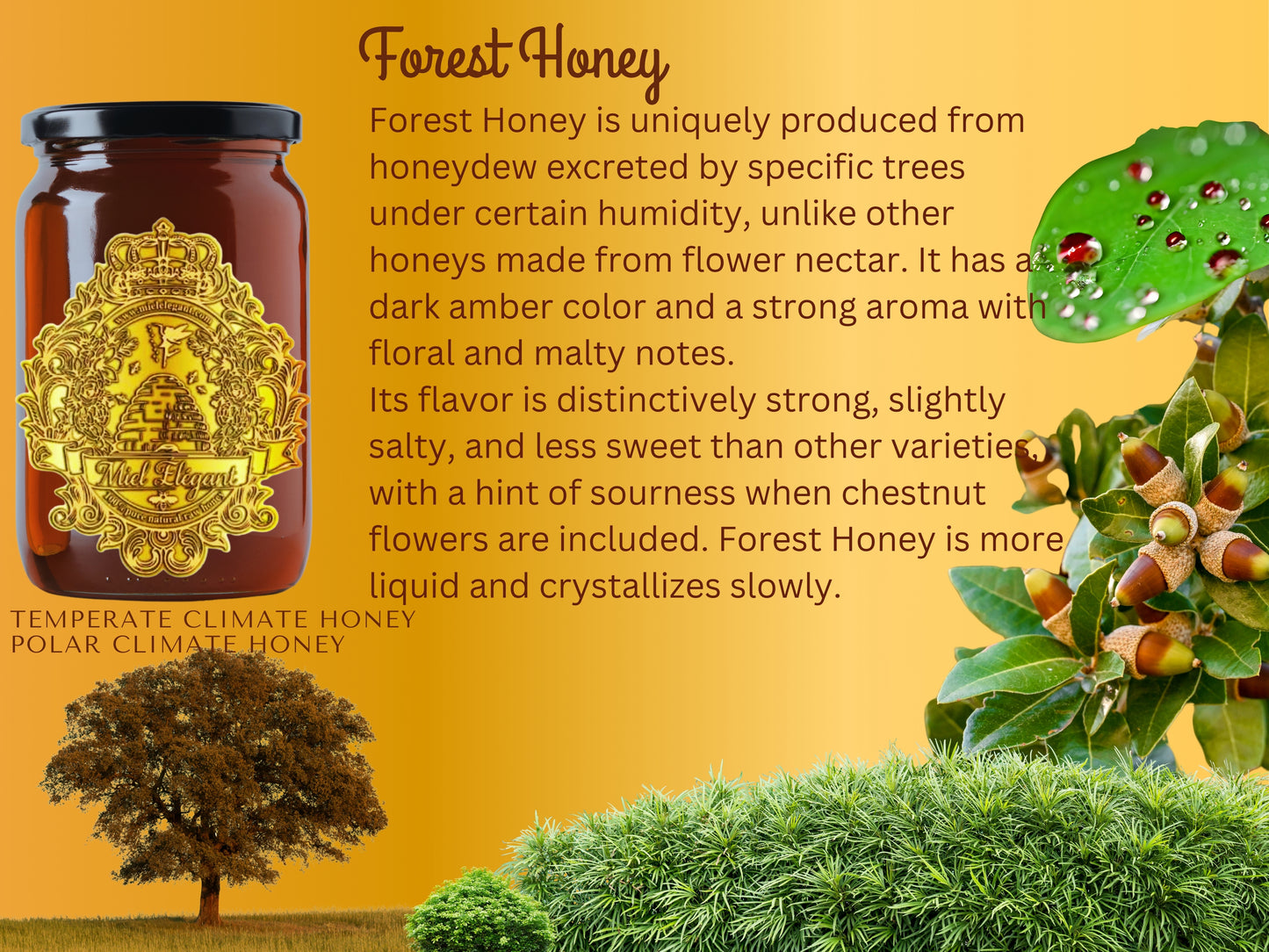 Forest Honey