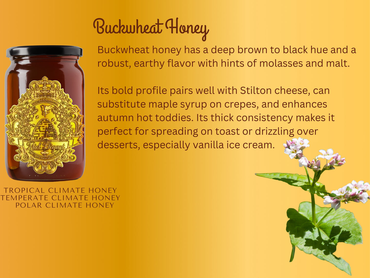 Buckwheat Honey