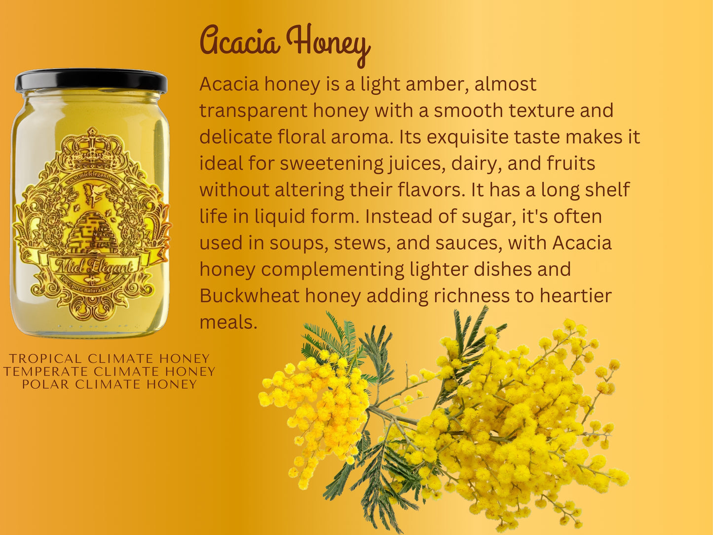 Acacia Honey