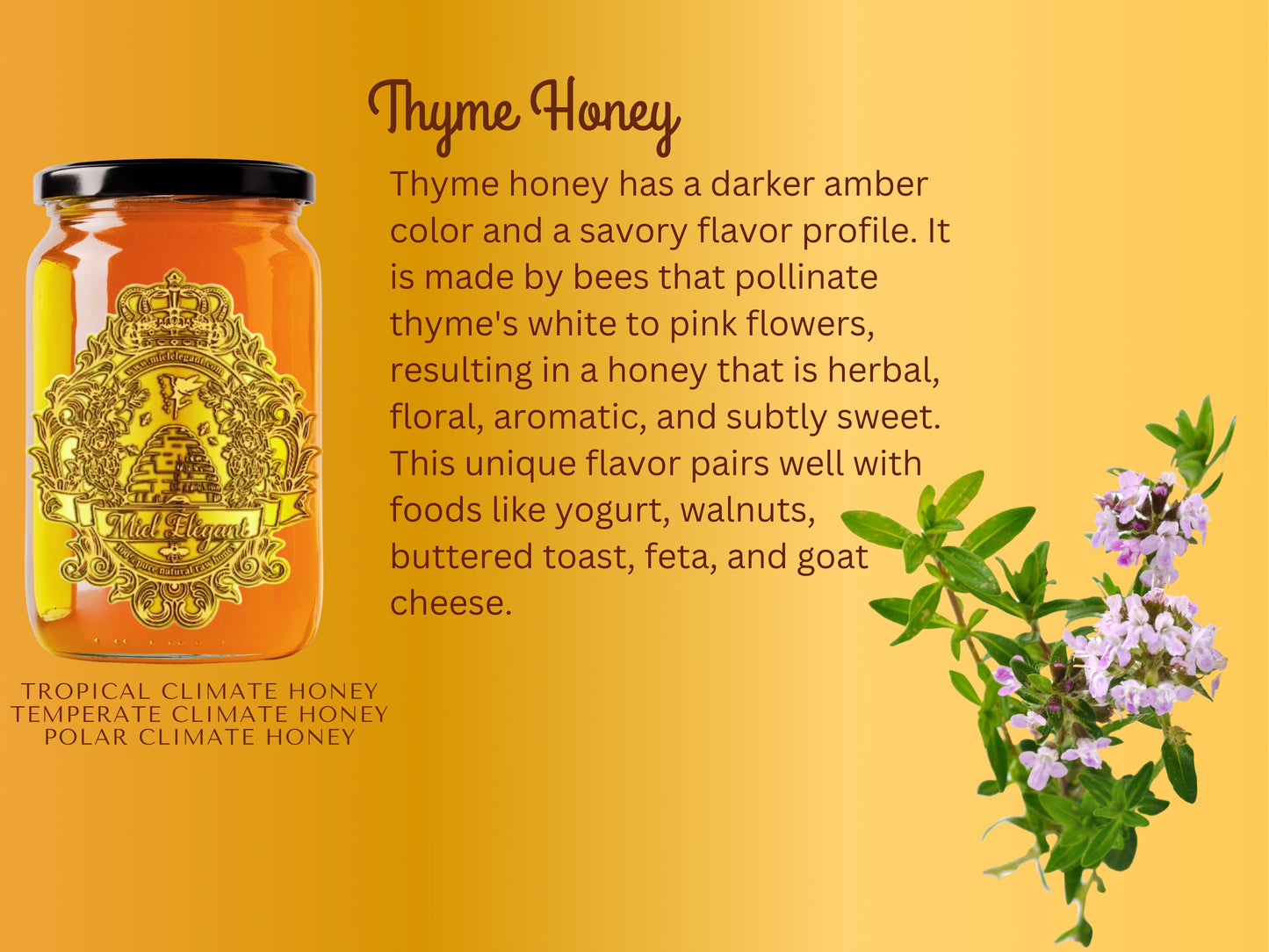 Thym Honey
