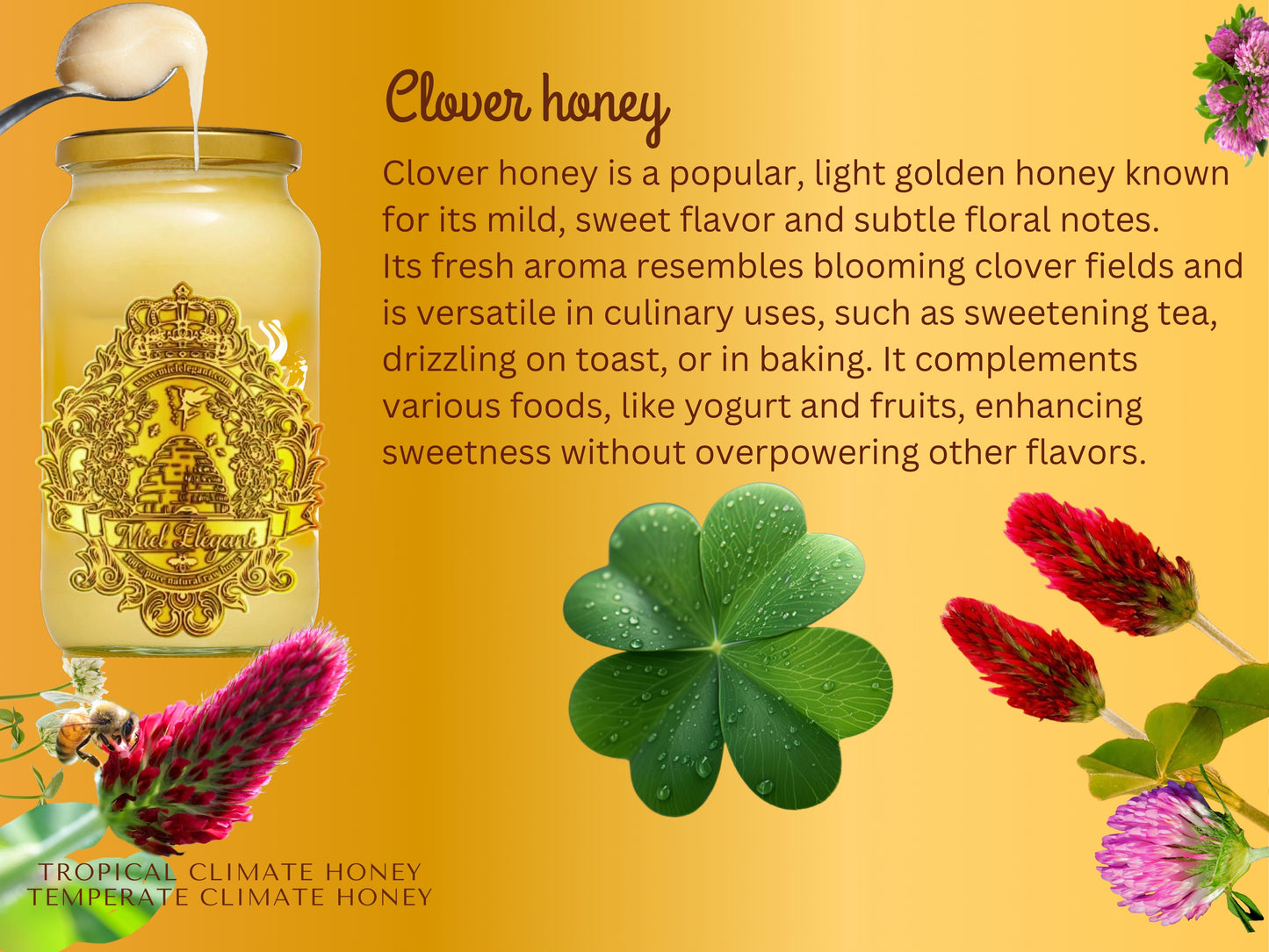 Clover Honey