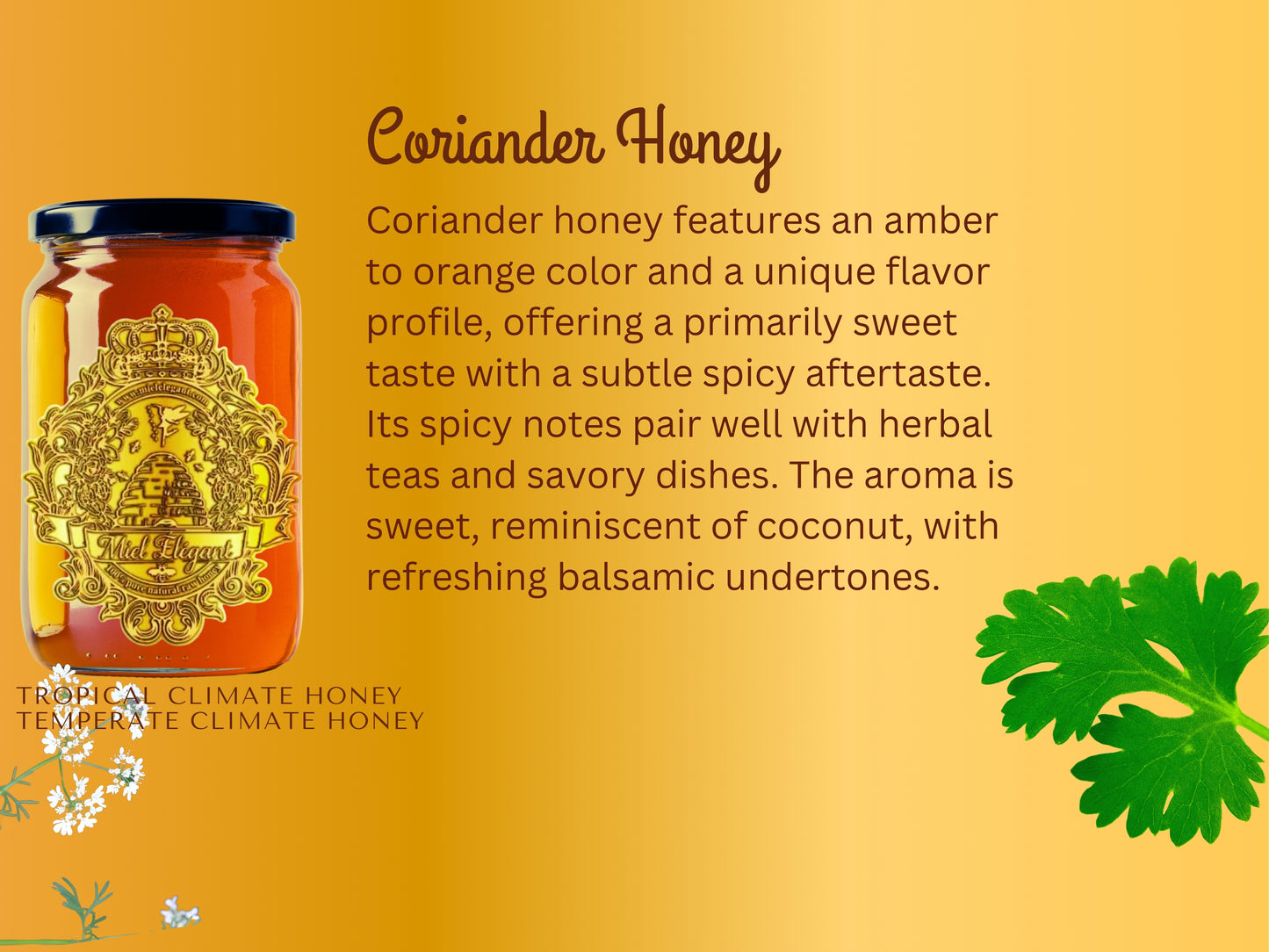 Coriander Honey