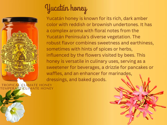 Yucatan Honey